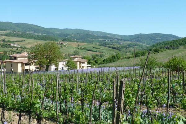 Casa Rosa Villa Greve in Chianti Exterior photo